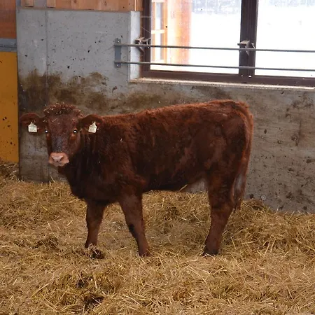 赛本霍夫农家乐 巴德加斯坦