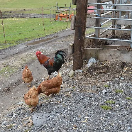 农家乐 赛本霍夫农家乐