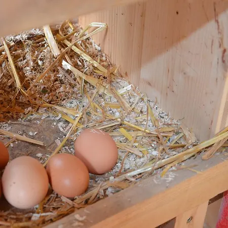 Scheibenhof Farm stay Bad Gastein