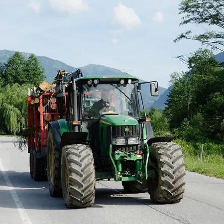 Scheibenhof Farm stay *
