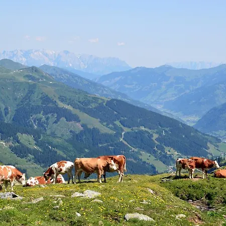 Scheibenhof Bad Gastein