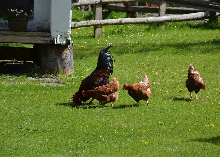 Scheibenhof Farmház
