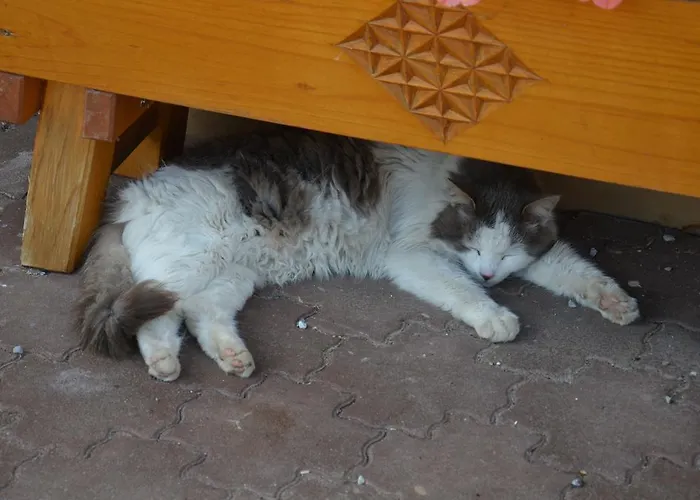 Scheibenhof Farmház Bad Gastein