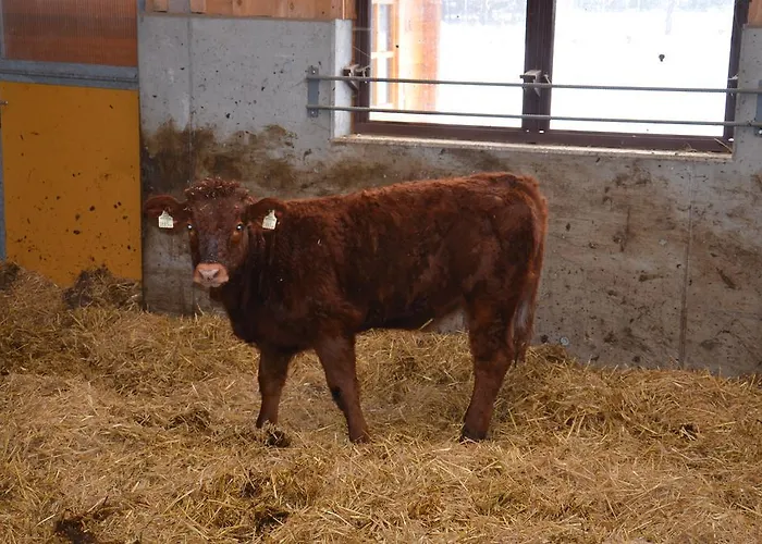 Scheibenhof Bad Gastein