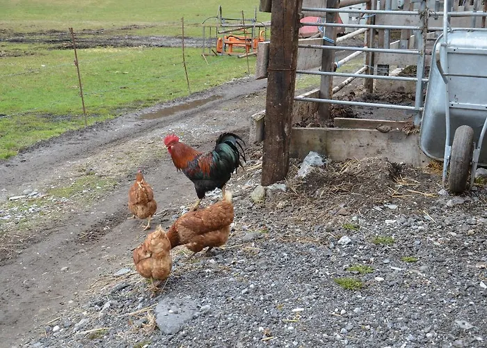 Farmház Scheibenhof