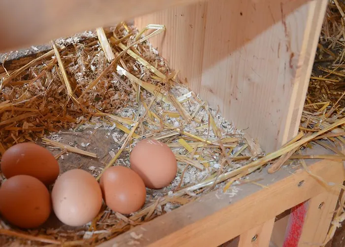 Scheibenhof Farmház Bad Gastein