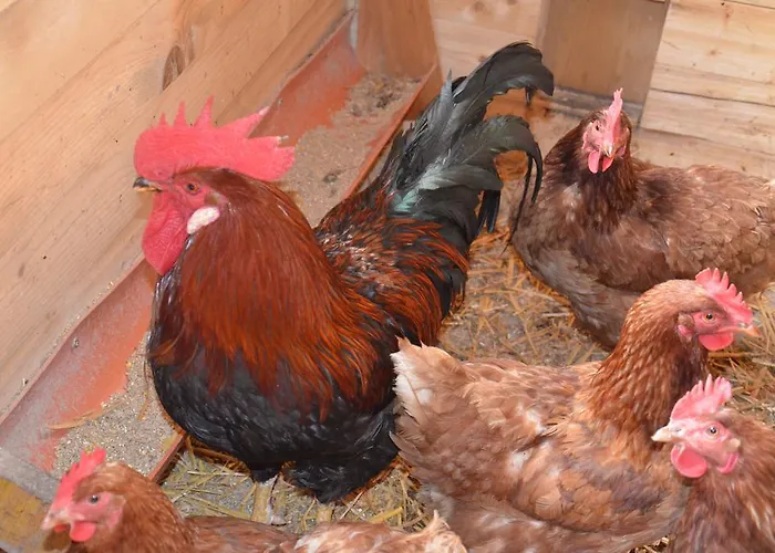 Scheibenhof Bad Gastein