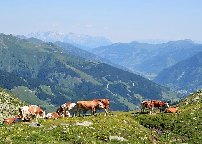 Scheibenhof Bad Gastein